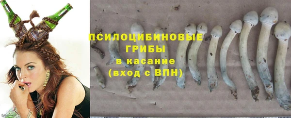 мяу мяу мука Абдулино
