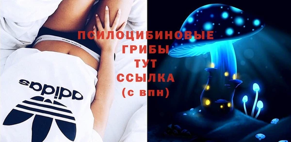 круглые Абаза