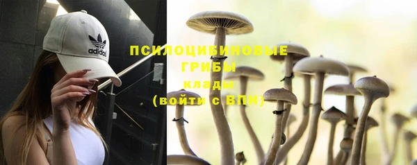 круглые Абаза