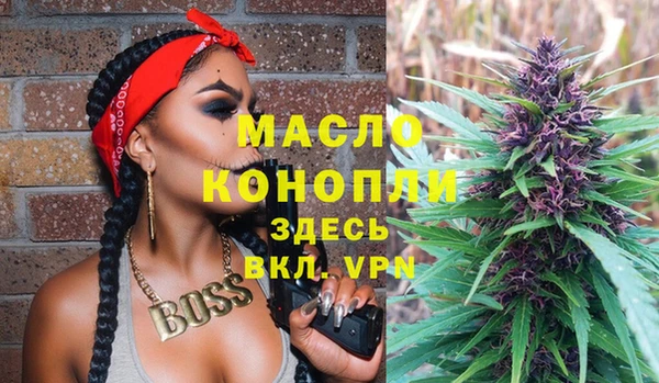 сатива Иннополис
