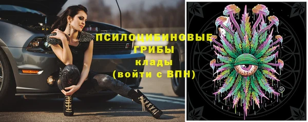 дмт Переславль-Залесский