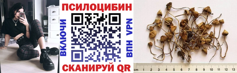 Галлюциногенные грибы GOLDEN TEACHER  где найти наркотики  Сычёвка 